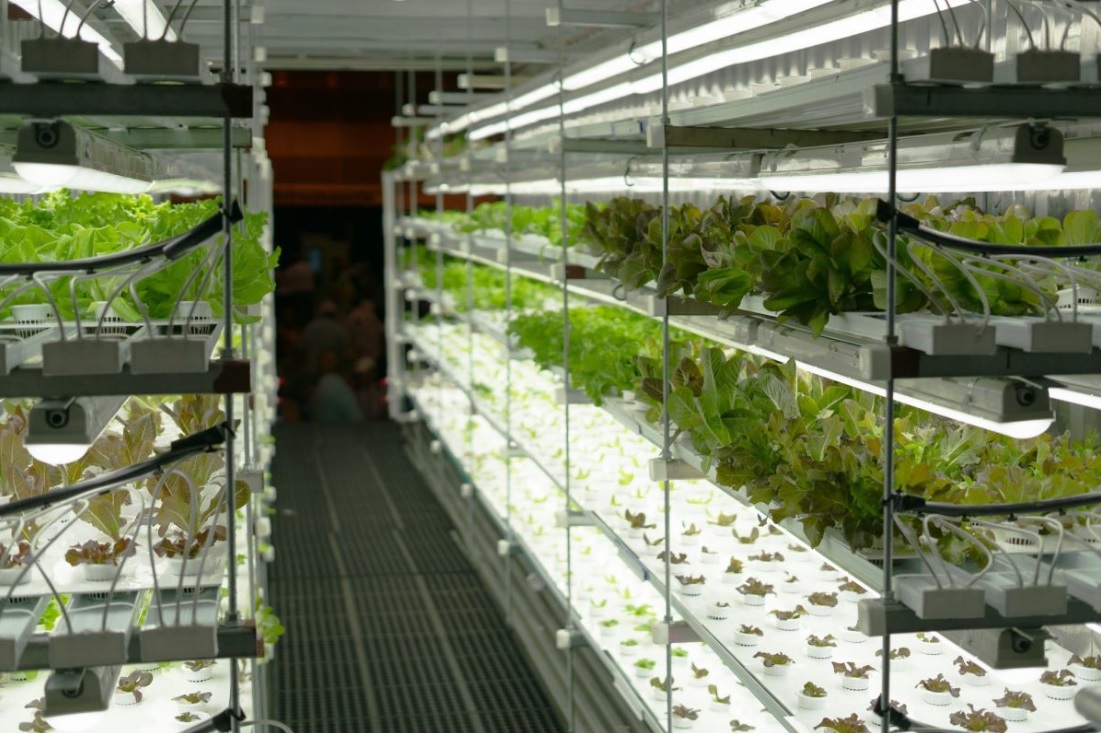 GrowCube inside