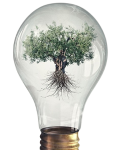 Tree with roots in bulb